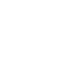 Authentic hotels